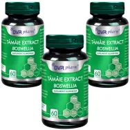 Set Tamaie extract [boswellia] 3x60cps - DVR PHARM