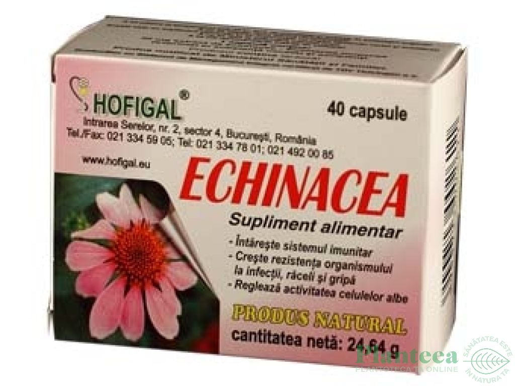 Echinaceea 40cps - HOFIGAL