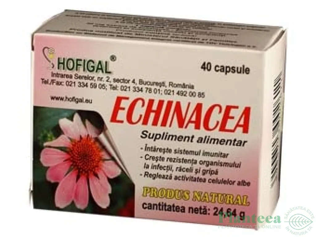 Echinaceea 40cps - HOFIGAL