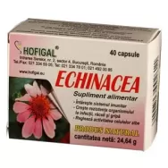 Echinaceea 40cps - HOFIGAL