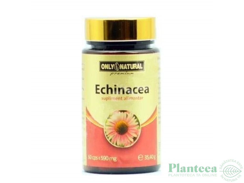 Echinaceea 590mg 60cps - ONLY NATURAL