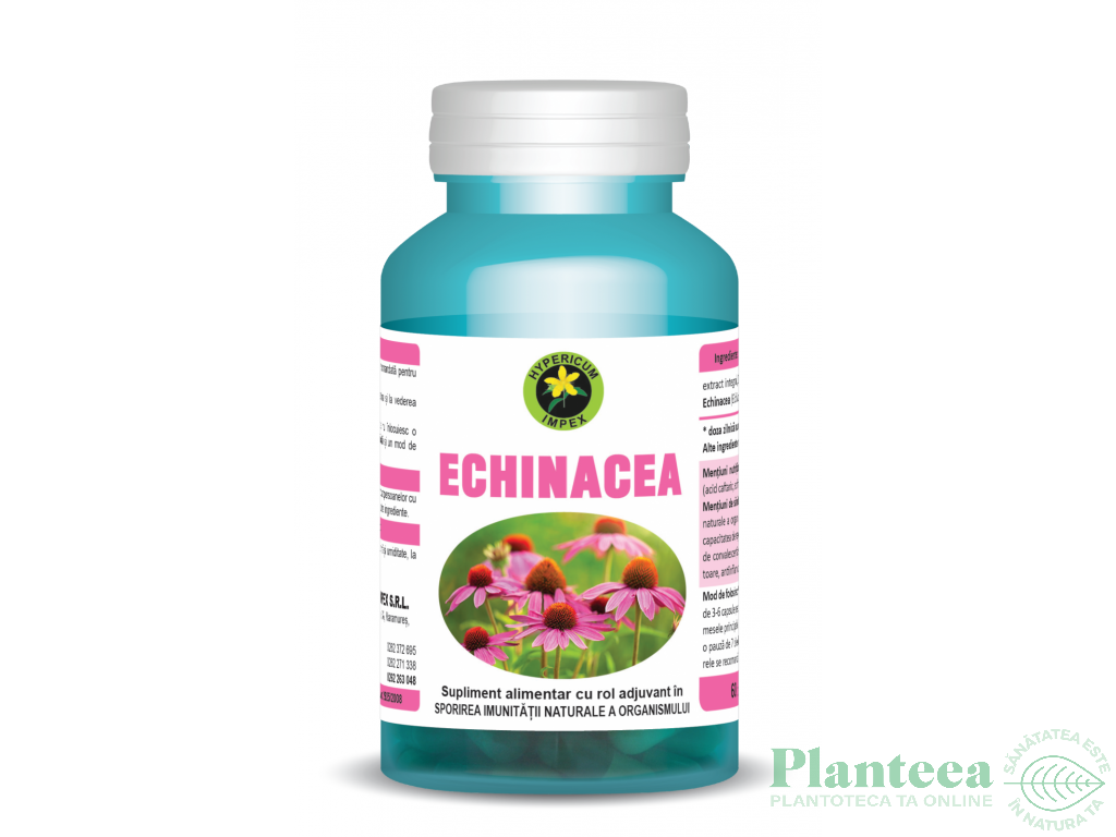 Echinaceea 60cps - HYPERICUM PLANT