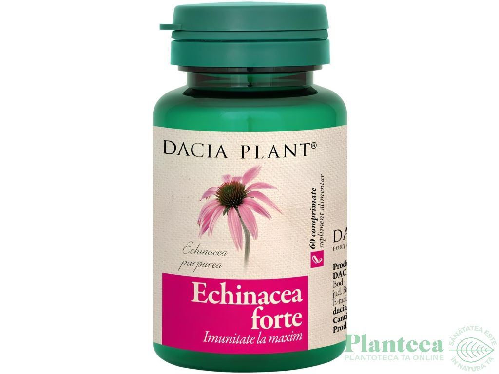 Echinaceea forte 1x60cp - DACIA PLANT