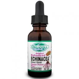 Extract lichid echinaceea fortificata 30ml - ORGANIKA HEALTH