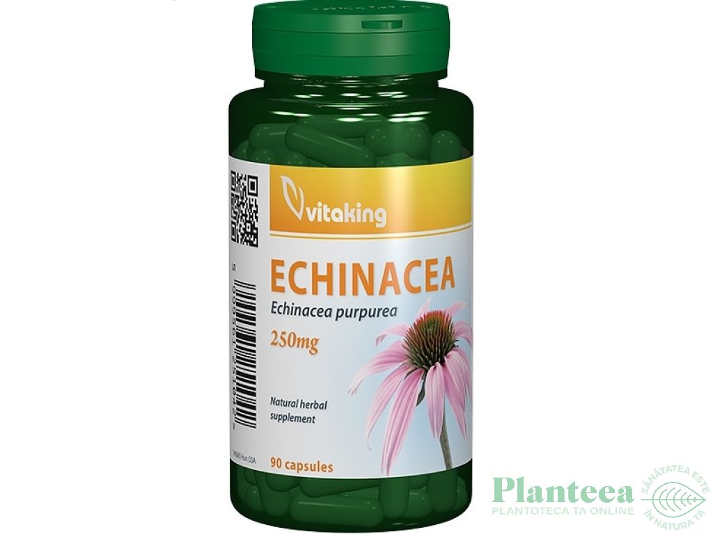 Echinaceea 250mg 90cps - VITAKING