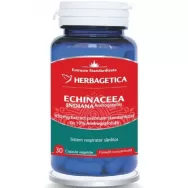 Andrographis [Echinaceea indiana] 430mg 30cps - HERBAGETICA