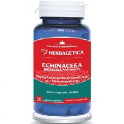 Andrographis [Echinaceea indiana] 430mg 30cps - HERBAGETICA