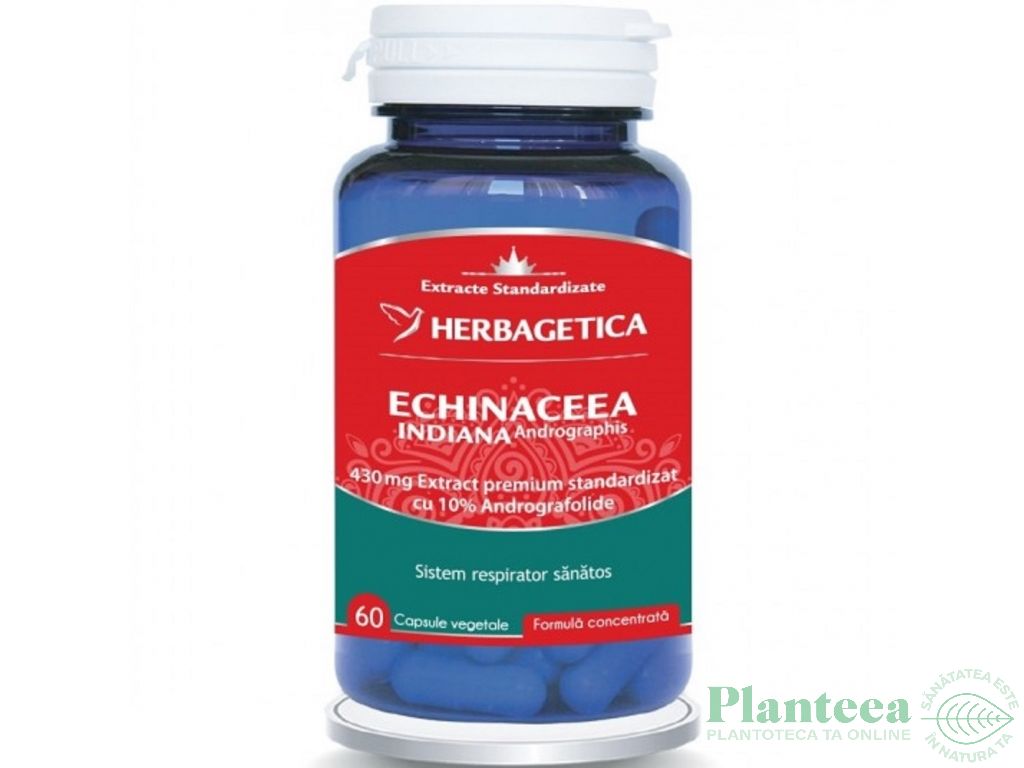 Andrographis [Echinaceea indiana] 430mg 60cps - HERBAGETICA