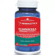 Andrographis [Echinaceea indiana] 430mg 60cps - HERBAGETICA