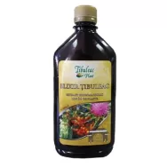 Bitter Elixir 500ml - TIBULEAC PLANT