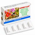 Supozitoare Carpimed Plant 10x1,5g - ELZIN PLANT