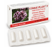 Supozitoare Comag Plant F 10x1,5g - ELZIN PLANT