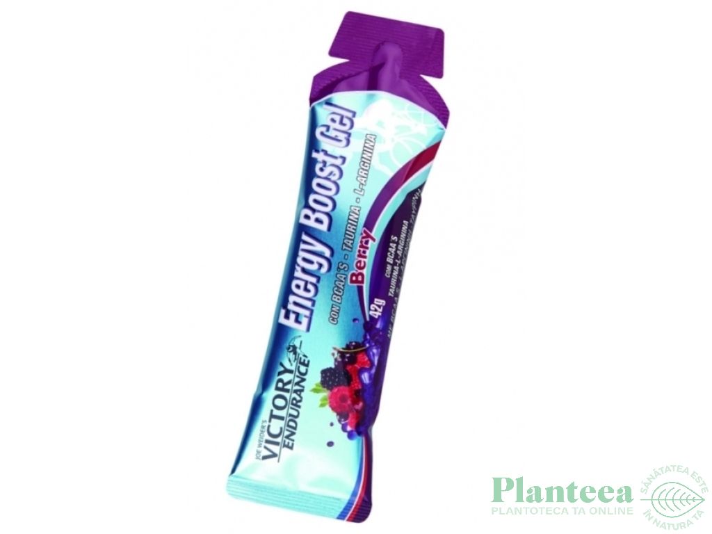 Gel energizant fructe padure 42g - VICTORY ENDURANCE