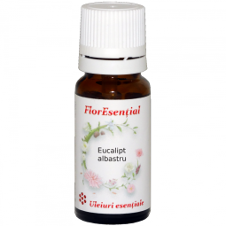 Ulei esential eucalipt 10ml - AQUA NANO