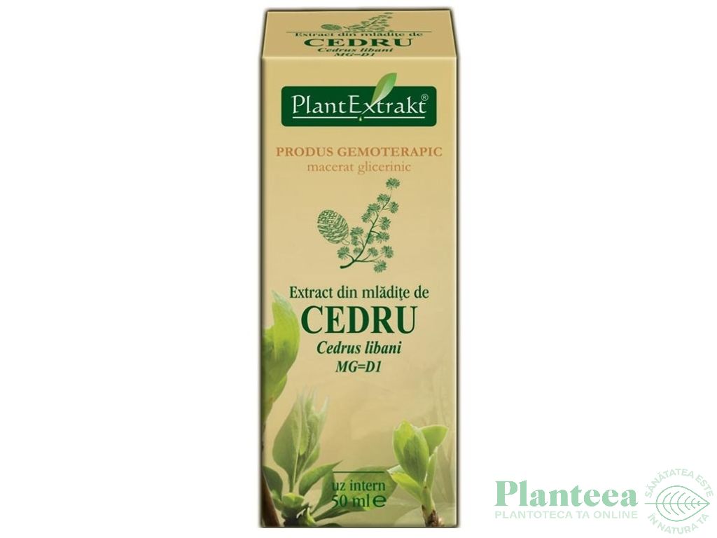 tinctură de cedru pentru tratamentul articulațiilor)