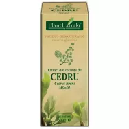 Gemoderivat cedru mladite 50ml - PLANTEXTRAKT