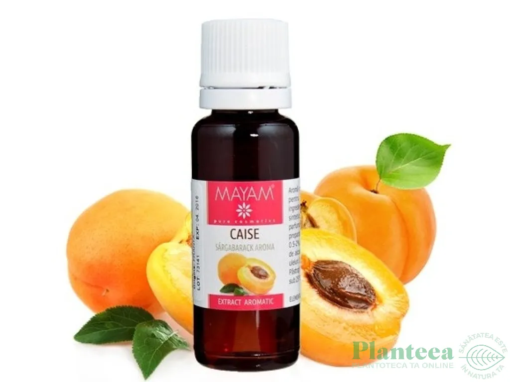 Extract aromatic caise 25ml - ELLEMENTAL