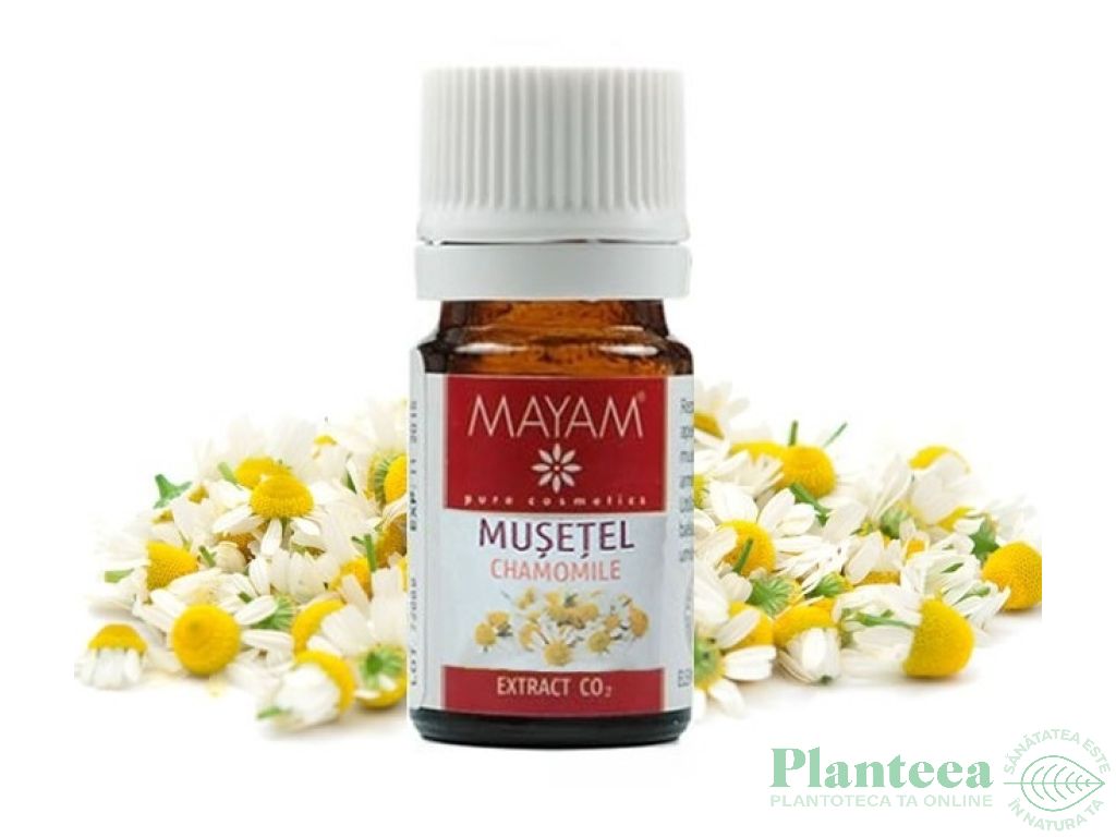 Extract Co2 musetel 5ml - MAYAM