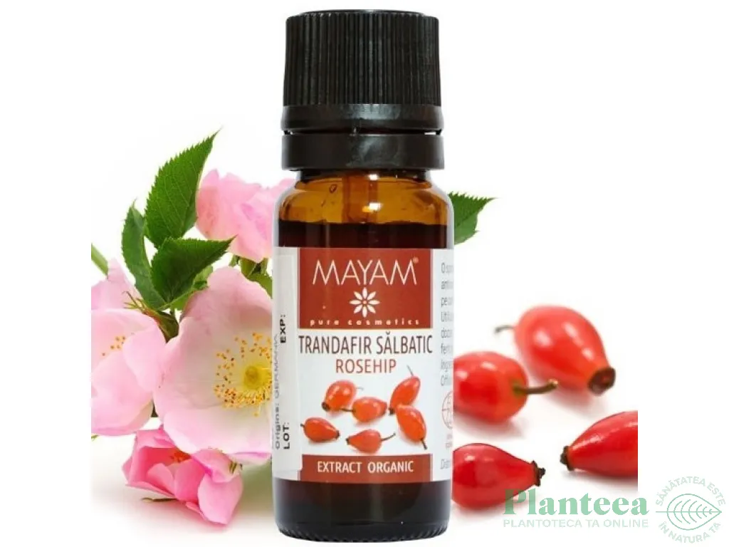Extract Co2 trandafir salbatic 10ml - ELLEMENTAL
