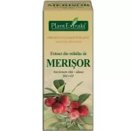 Gemoderivat merisor mladite 50ml - PLANTEXTRAKT