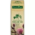 Gemoderivat vita vie muguri 50ml - PLANTEXTRAKT