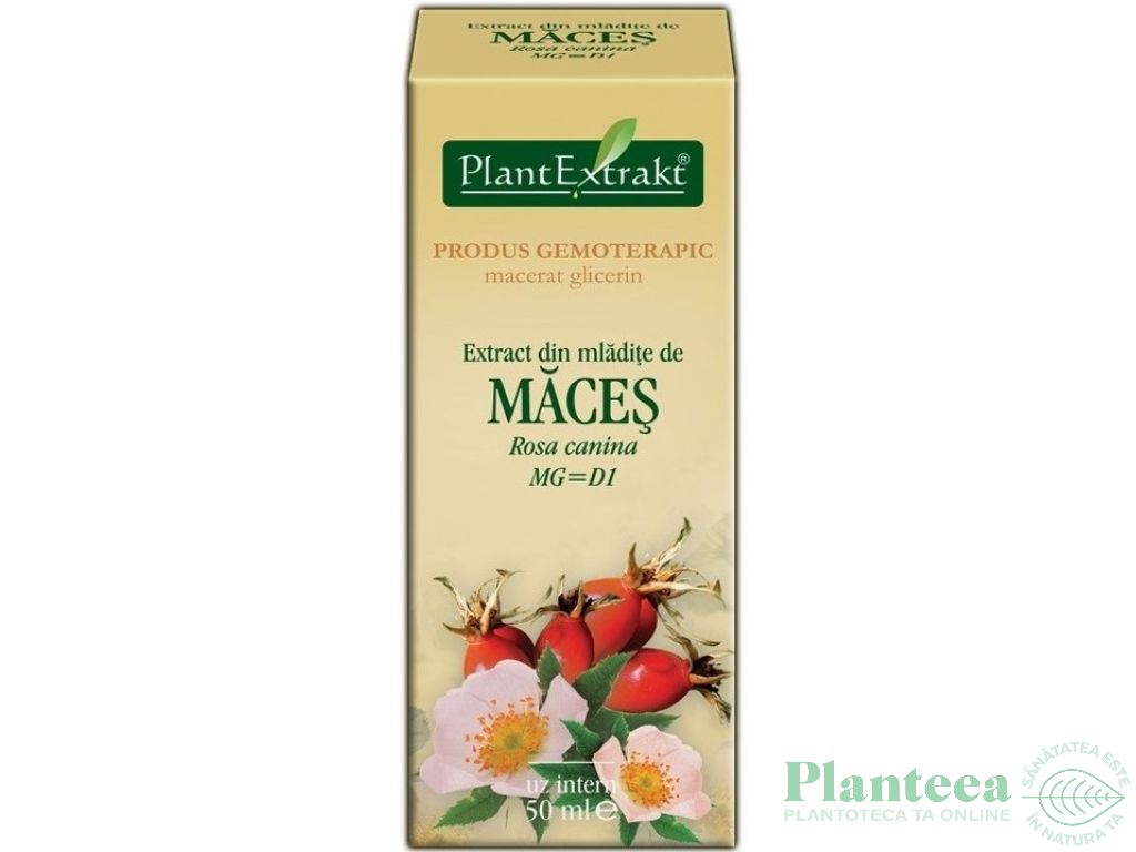 Gemoderivat maces mladite 50ml - PLANTEXTRAKT