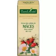 Gemoderivat maces mladite 50ml - PLANTEXTRAKT