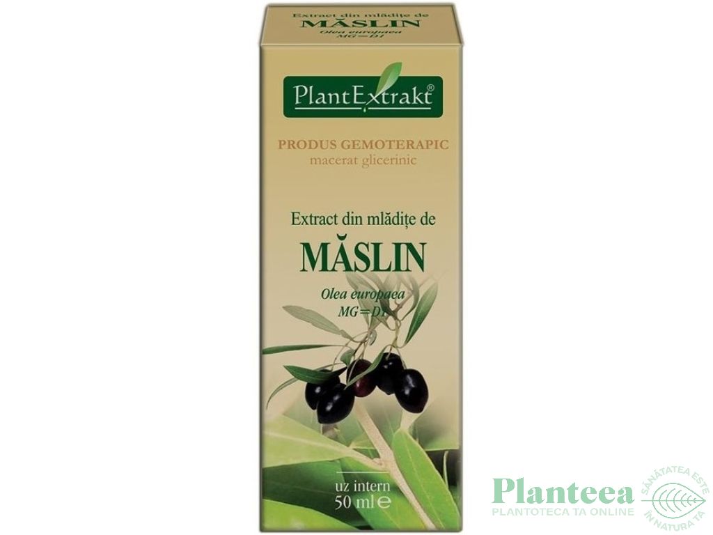 Gemoderivat maslin mladite 50ml - PLANTEXTRAKT