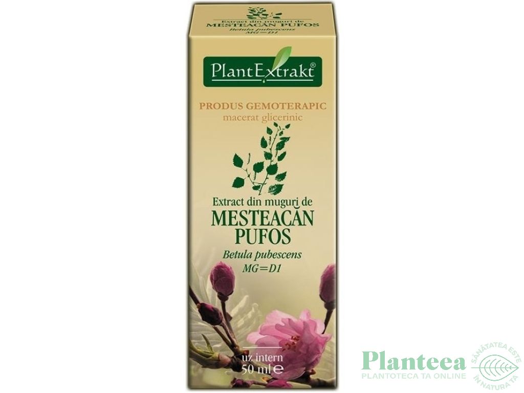 Gemoderivat mesteacan pufos muguri 50ml - PLANTEXTRAKT