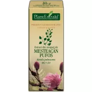 Gemoderivat mesteacan pufos muguri 50ml - PLANTEXTRAKT