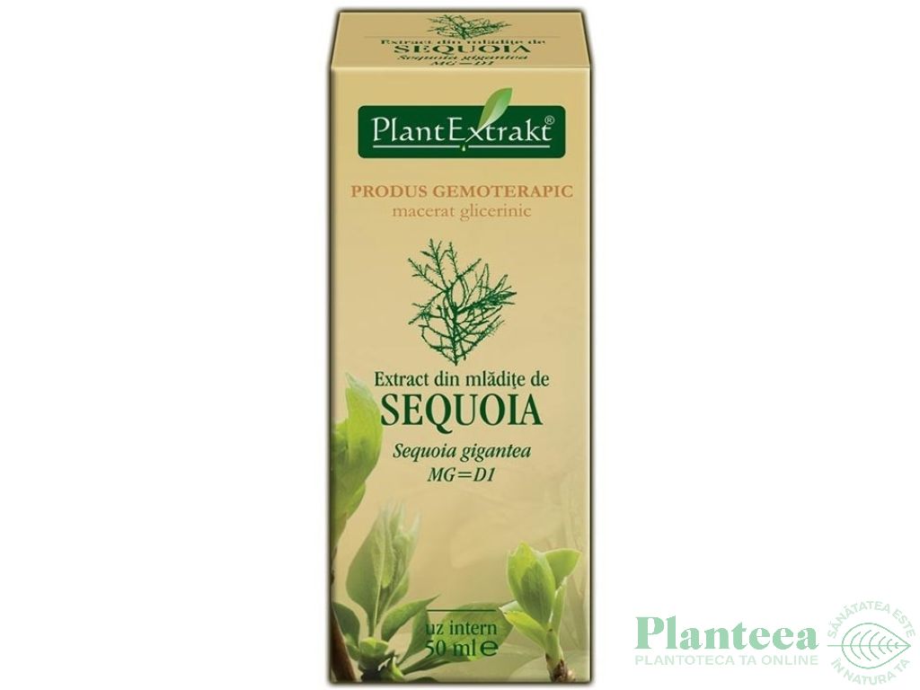 Gemoderivat sequoia mladite 50ml - PLANTEXTRAKT