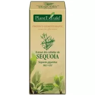 Gemoderivat sequoia mladite 50ml - PLANTEXTRAKT