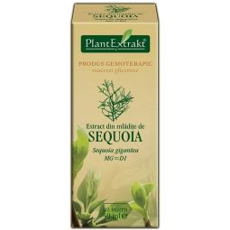 Gemoderivat sequoia mladite 50ml - PLANTEXTRAKT