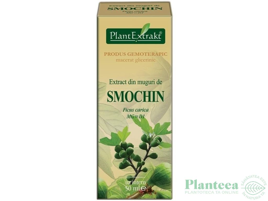 Gemoderivat smochin muguri 50ml - PLANTEXTRAKT