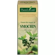 Gemoderivat smochin muguri 50ml - PLANTEXTRAKT