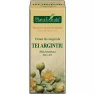 Gemoderivat tei argintiu muguri 50ml - PLANTEXTRAKT