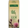 Gemoderivat ulm muguri 50ml - PLANTEXTRAKT