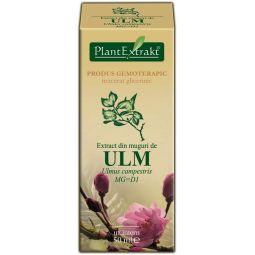 Gemoderivat ulm muguri 50ml - PLANTEXTRAKT