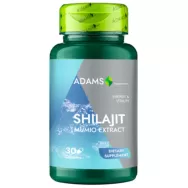 Shilajit [Mumio extract] 400mg 30cps - ADAMS SUPPLEMENTS