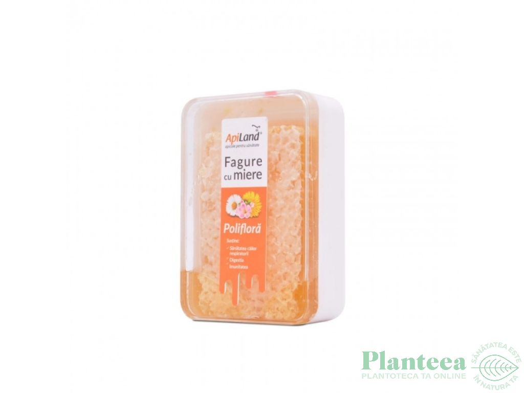 Fagure cu miere poliflora 400g - APILAND