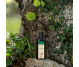 Lotiune par regeneranta petroleum 100ml - GEROVITAL TRATAMENT EXPERT