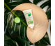 Crema CC nuanta mediu matifianta Microbiom Protect 30ml - GEROVITAL PLANT
