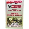 Ceai plante pt clisma FaviColonsan 150g - FAVISAN