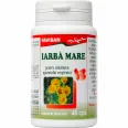 Iarba mare 40cps - FAVISAN