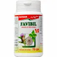 FaviBil 70cps - FAVISAN