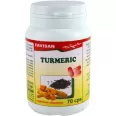 Turmeric 70cps - FAVISAN
