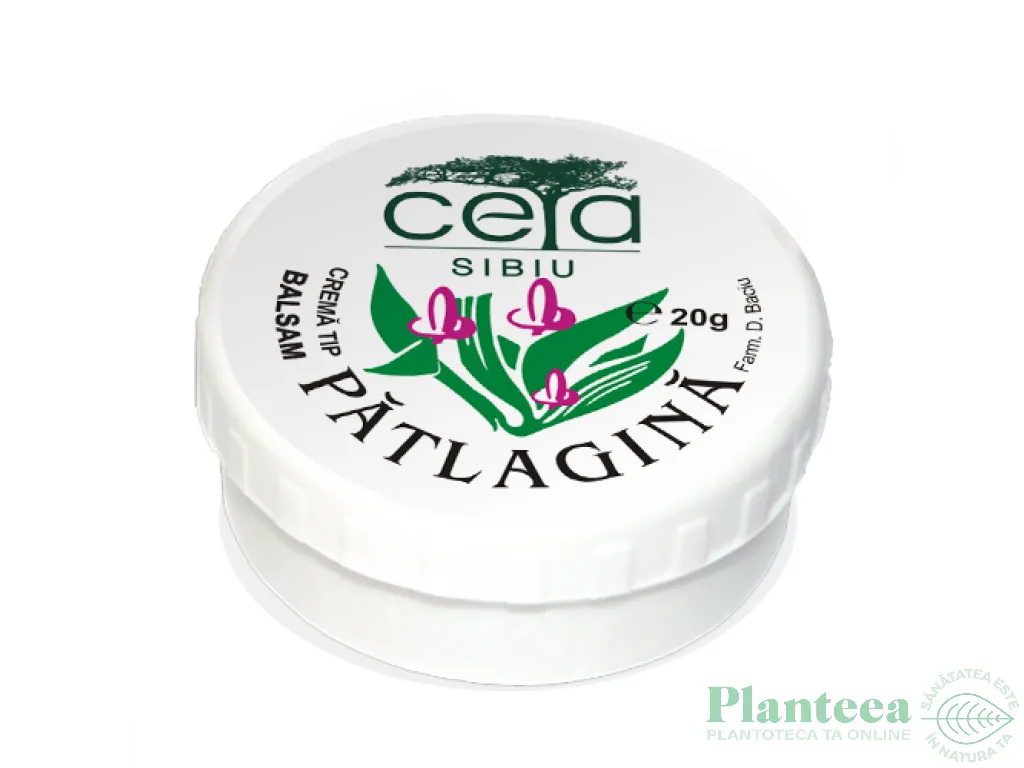 Unguent patlagina 20g - CETA