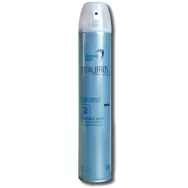 Spray fixativ invisible strong Dynamic 500ml - BES