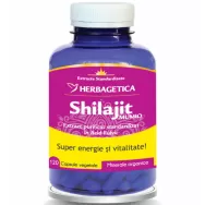 Super Shilajit [Mumio] 350mg extract cu 60% acid fulvic 120cps - HERBAGETICA