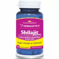 Shilajit mumio extract 30cps - HERBAGETICA